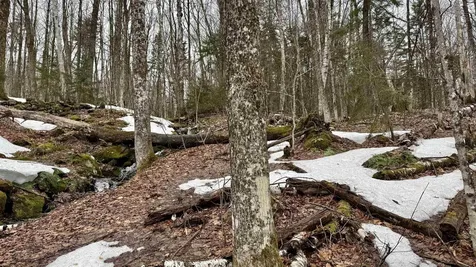 2075 Codding Hollow Road Johnson VT 05656
