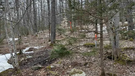 2075 Codding Hollow Road Johnson VT 05656