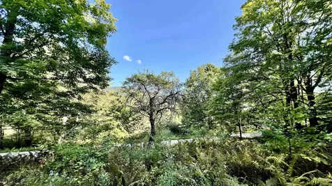 2075 Codding Hollow Road Johnson VT 05656