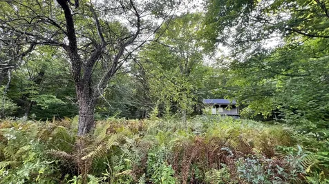 2075 Codding Hollow Road Johnson VT 05656