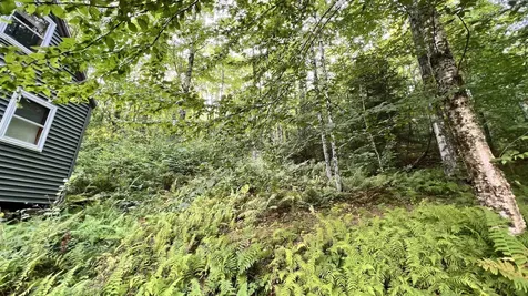 2075 Codding Hollow Road Johnson VT 05656