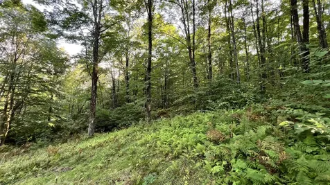 2075 Codding Hollow Road Johnson VT 05656