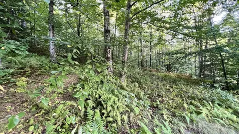 2075 Codding Hollow Road Johnson VT 05656