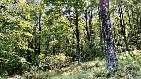 2075 Codding Hollow Road Johnson VT 05656