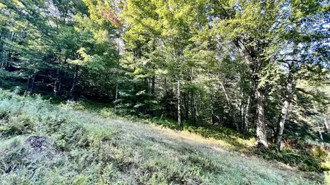 2075 Codding Hollow Road Johnson VT 05656
