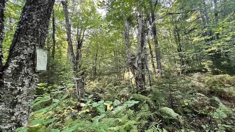 2075 Codding Hollow Road Johnson VT 05656