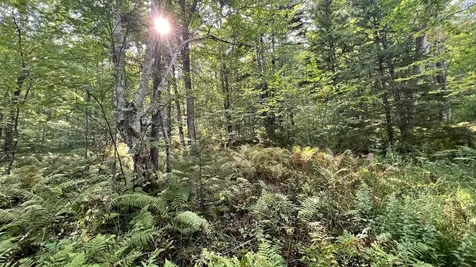 2075 Codding Hollow Road Johnson VT 05656