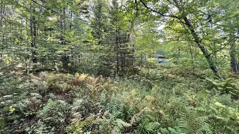 2075 Codding Hollow Road Johnson VT 05656