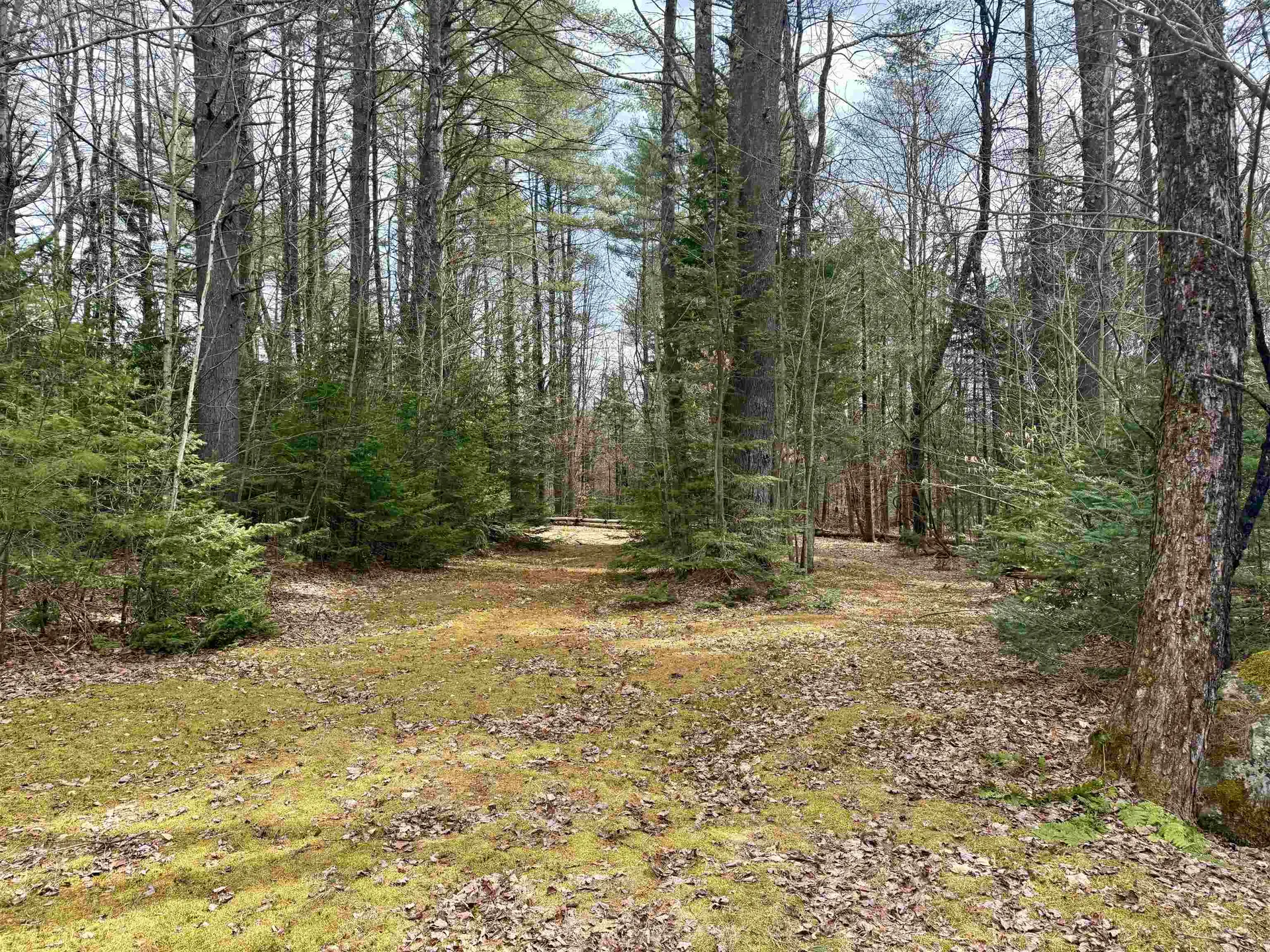 119 Old Tavern Road Weston VT 05161