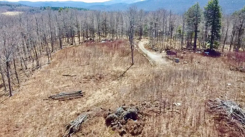 224 Arrau Road Andover VT 05143