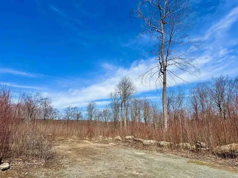 224 Arrau Road Andover VT 05143