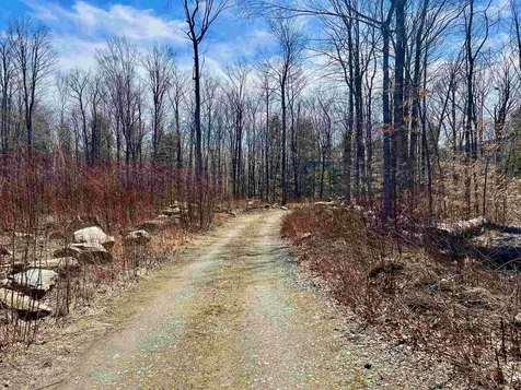 224 Arrau Road Andover VT 05143