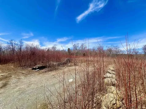 224 Arrau Road Andover VT 05143