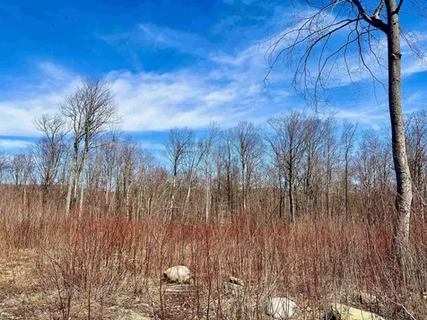 224 Arrau Road Andover VT 05143