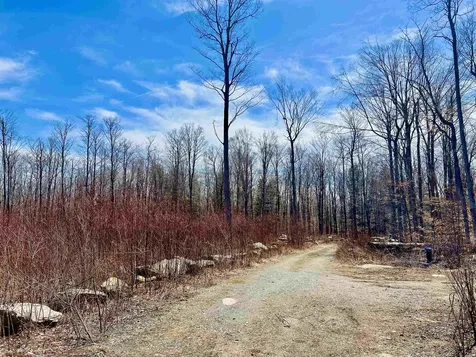 224 Arrau Road Andover VT 05143