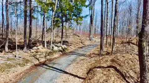 224 Arrau Road Andover VT 05143