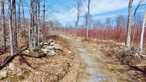 224 Arrau Road Andover VT 05143
