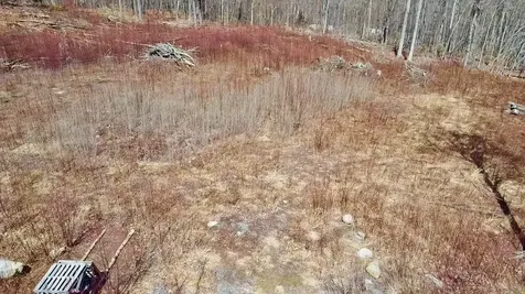 224 Arrau Road Andover VT 05143