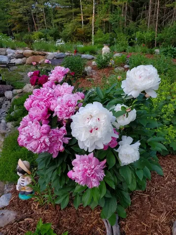 2058 East Clarendon Road Clarendon VT 05759