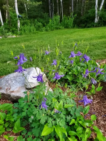 2058 East Clarendon Road Clarendon VT 05759