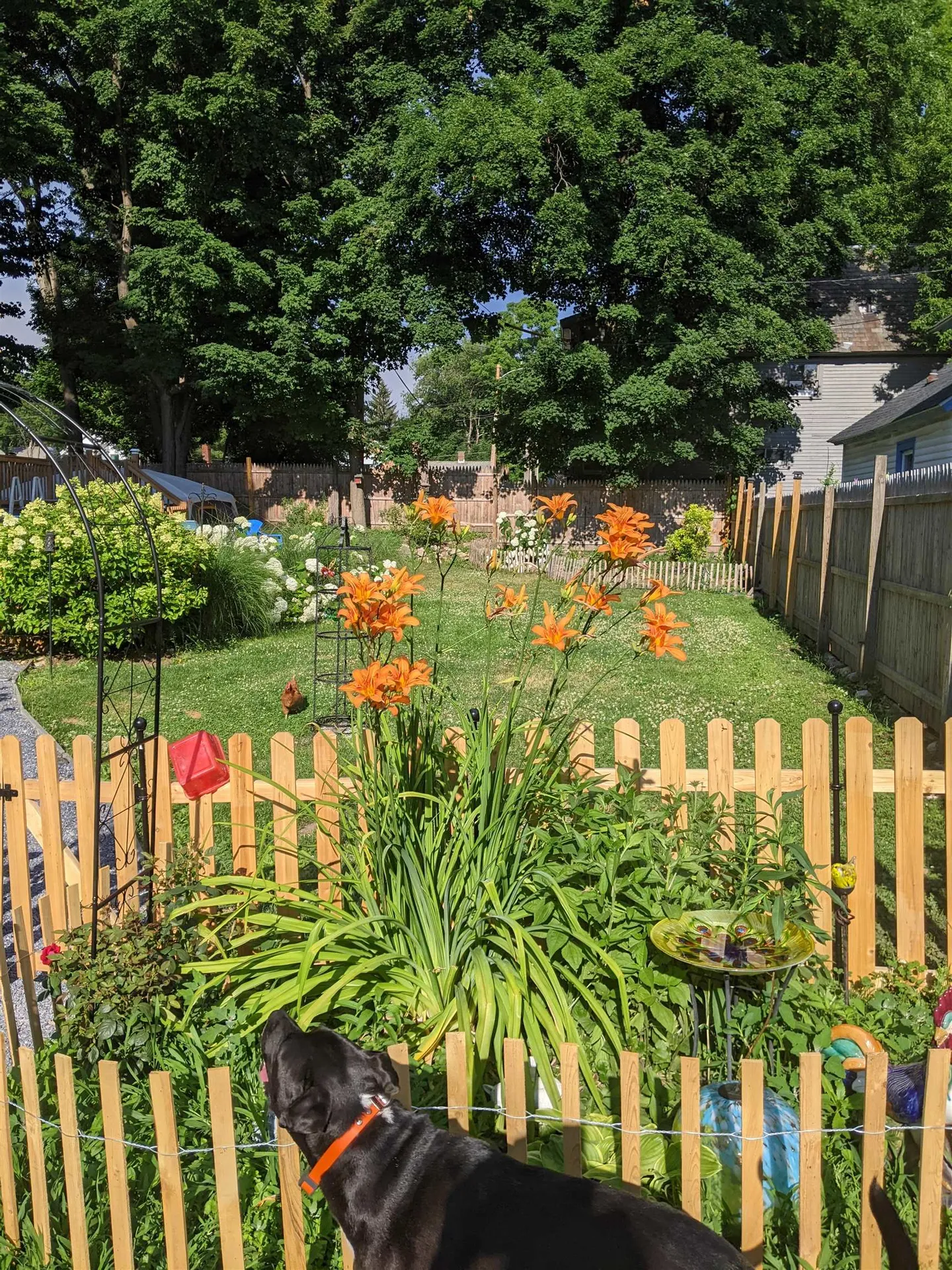 213 Maple Street Bennington VT 05201