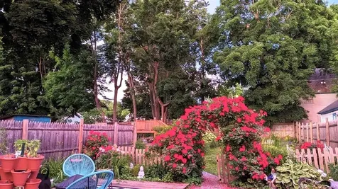 213 Maple Street Bennington VT 05201