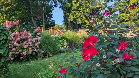 213 Maple Street Bennington VT 05201