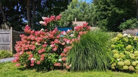 213 Maple Street Bennington VT 05201