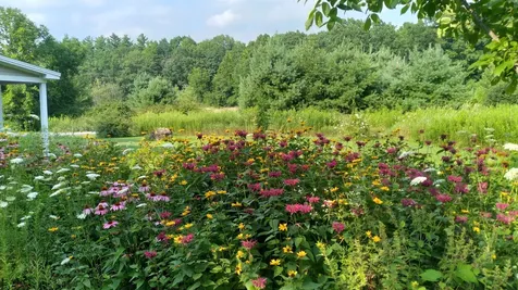 120 Foote Street Middlebury VT 05753