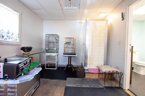 1222 Scott Highway Groton VT 05046