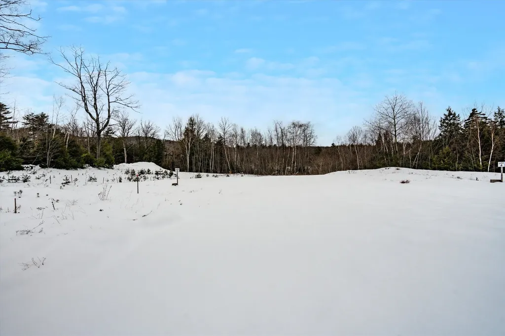 00 Ragged Mount Road Danbury NH 03230