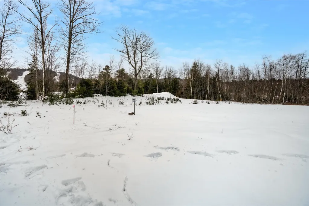 00 Ragged Mount Road Danbury NH 03230