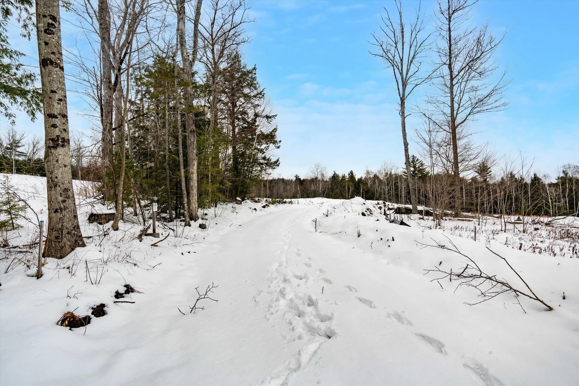 00 Ragged Mount Road Danbury NH 03230