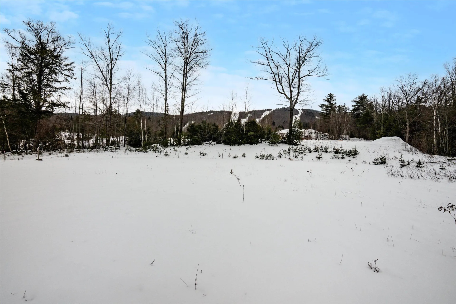 00 Ragged Mount Road Danbury NH 03230