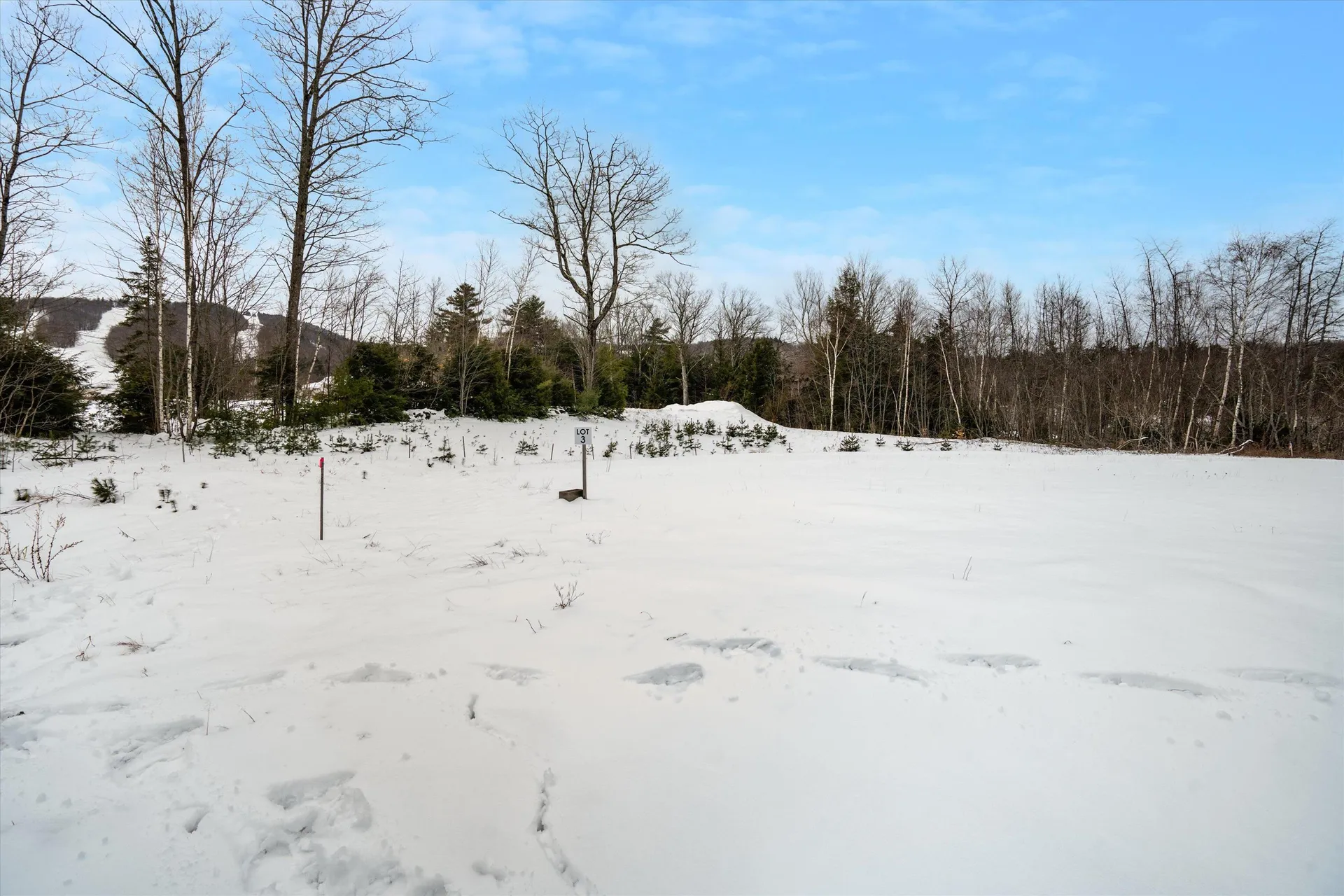 00 Ragged Mount Road Danbury NH 03230