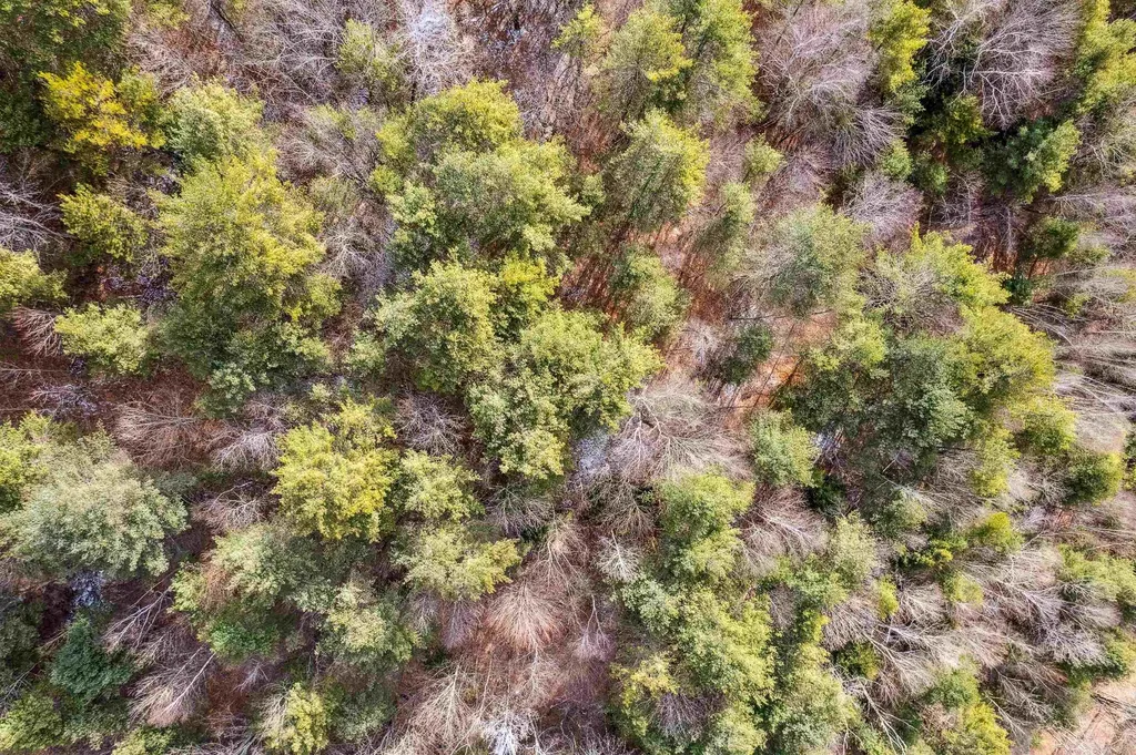 00 Russell Road Tunbridge VT 05077