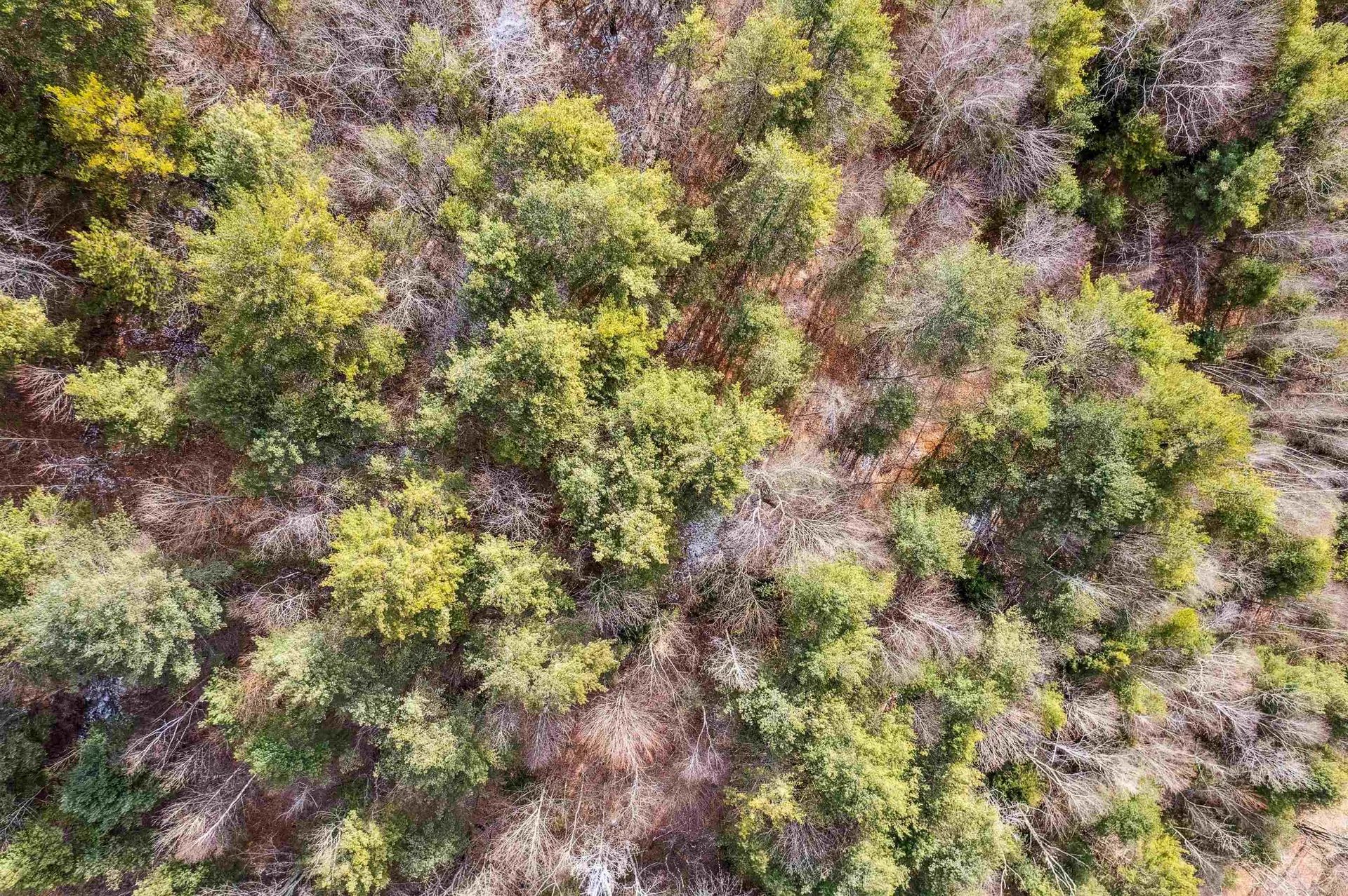 00 Russell Road Tunbridge VT 05077