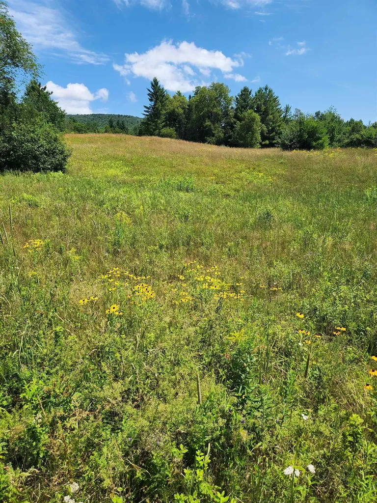 0 Route 115 Carroll NH 03595