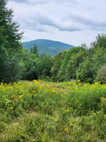 0 Route 115 Carroll NH 03595