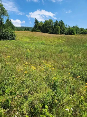 0 Route 115 Carroll NH 03595