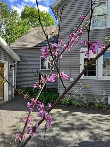 277 Union Street Bennington VT 05201