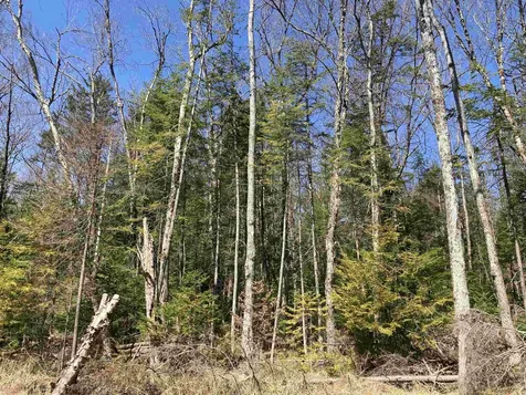 131 Kilton Road Canaan NH 03741