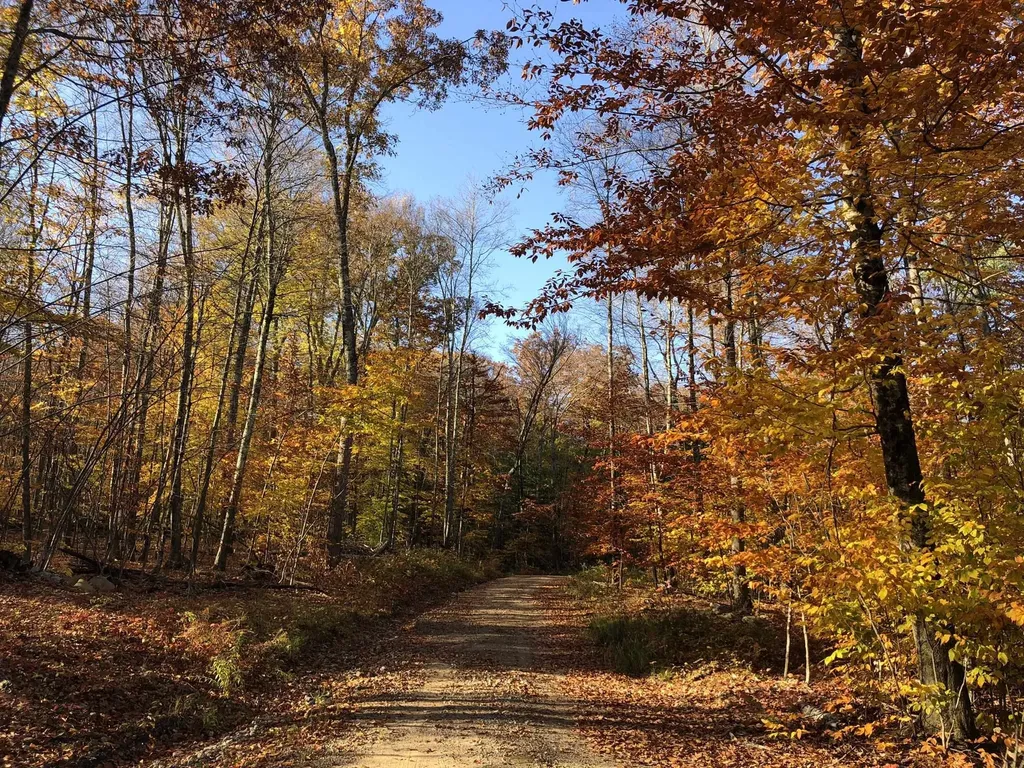 67 Dobbins Way Alton NH 03809