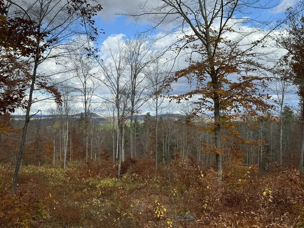 67 Dobbins Way Alton NH 03809