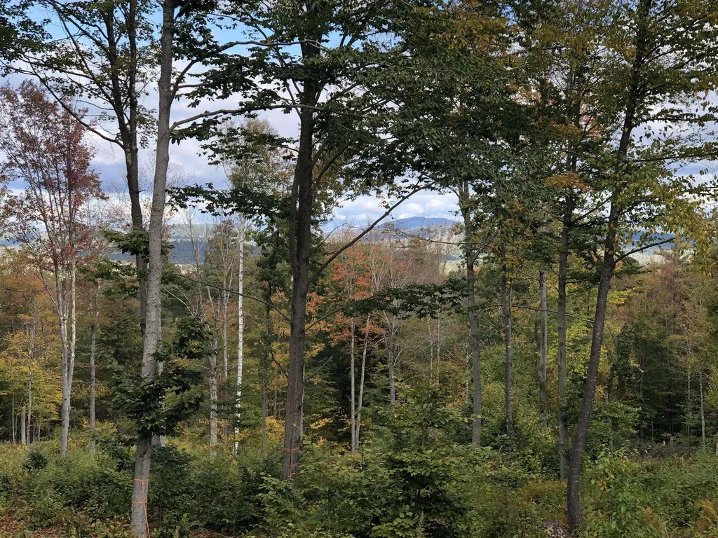 67 Dobbins Way Alton NH 03809