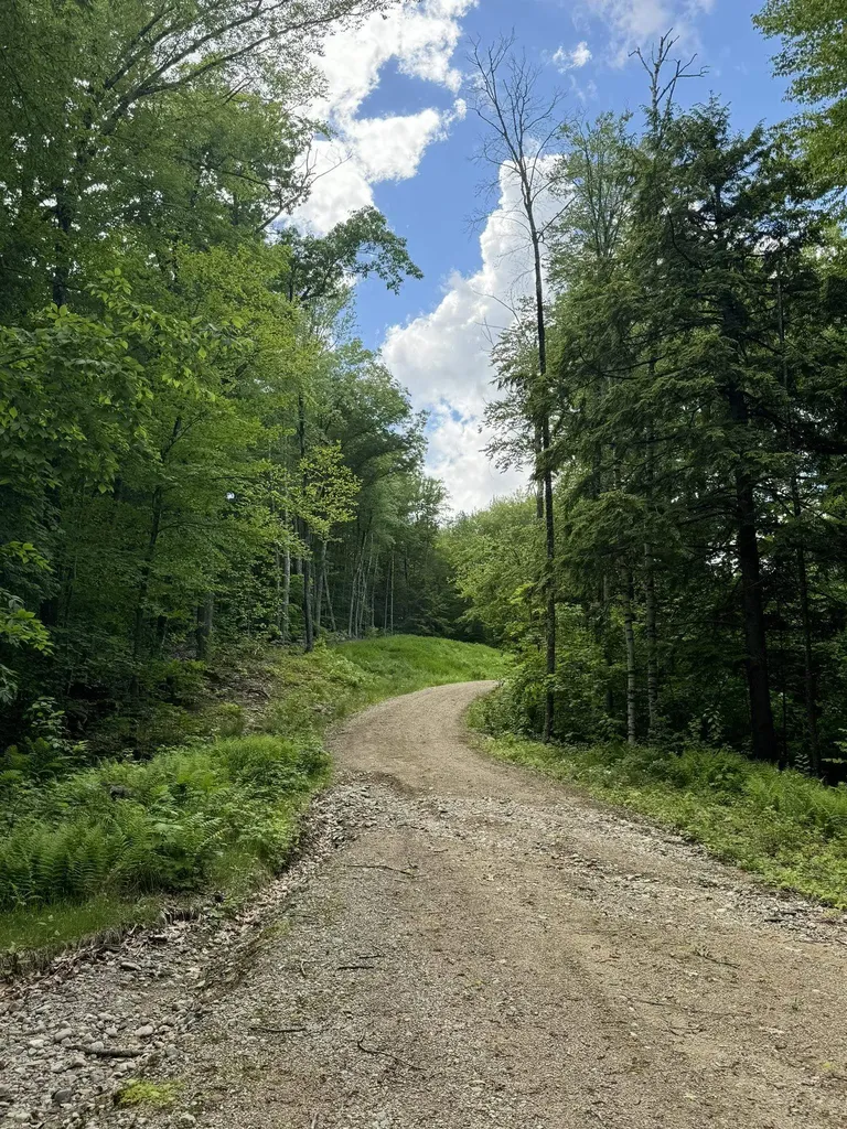 67 Dobbins Way Alton NH 03809