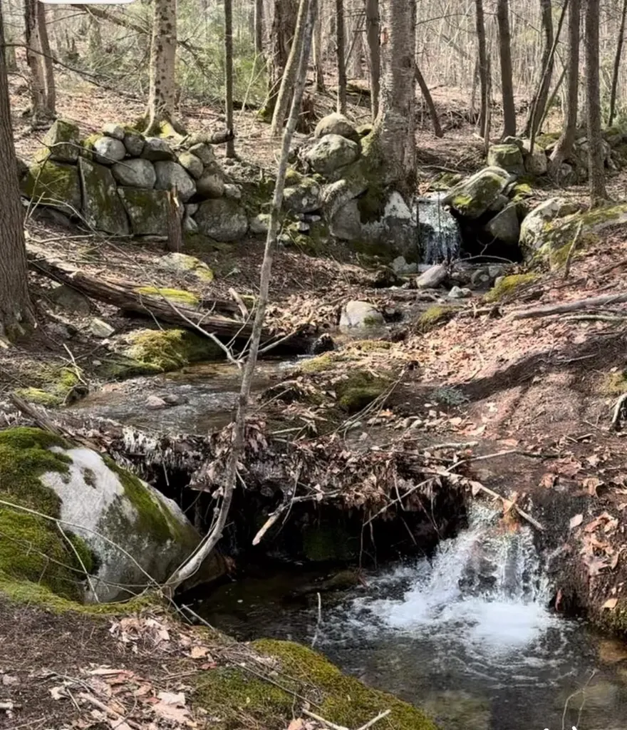 67 Dobbins Way Alton NH 03809