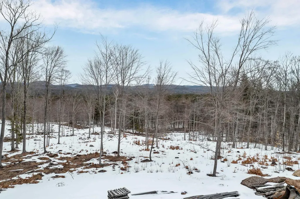 67 Dobbins Way Alton NH 03809