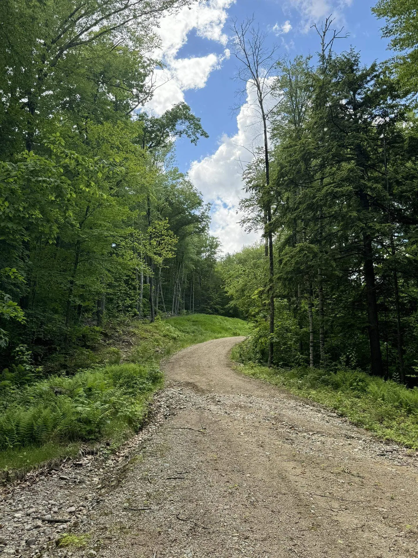 67 Dobbins Way Alton NH 03809