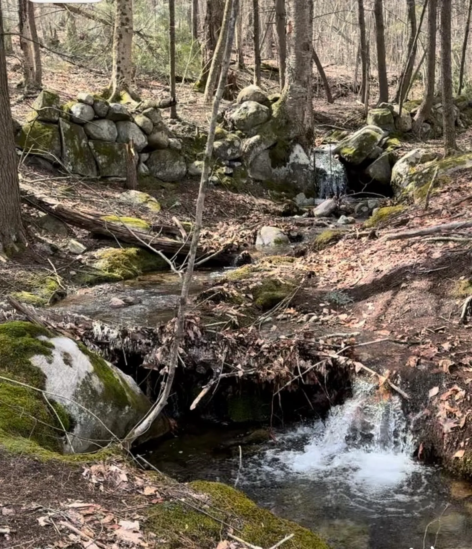 67 Dobbins Way Alton NH 03809